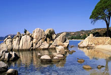 爱游戏体育-清晨体能课后，菲尼克斯太阳内部沟通备战法国杯，话题不断，团队化学反应显著的简单介绍-爱游戏体育